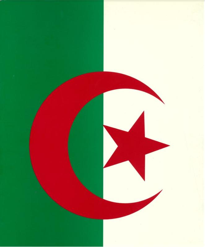 Jean-Pierre Raynaud : Drapeau = Flag = علم / Musee Sainte-Croix cover