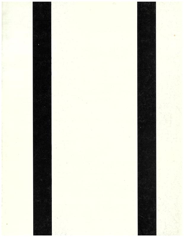 Raynaud : noir et blanc / Jean-Pierre Raynaud ; [writer of texts, Suzanne Pagé and Bernard Marcadé]. cover