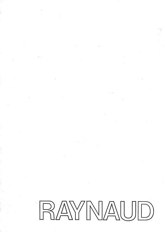 Raynaud / Museum van Hedendaagse Kunst cover