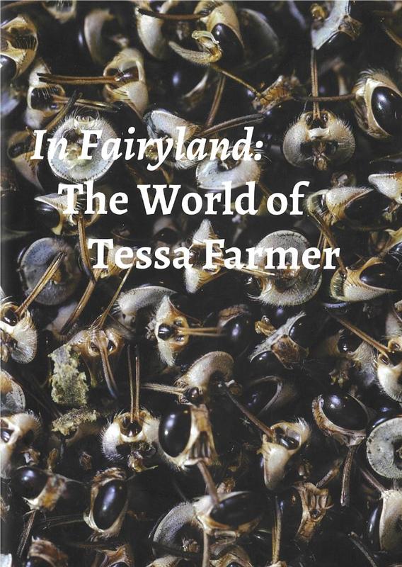 In fairyland : the world of Tessa Farmer / edited by Catriona McAra cover
