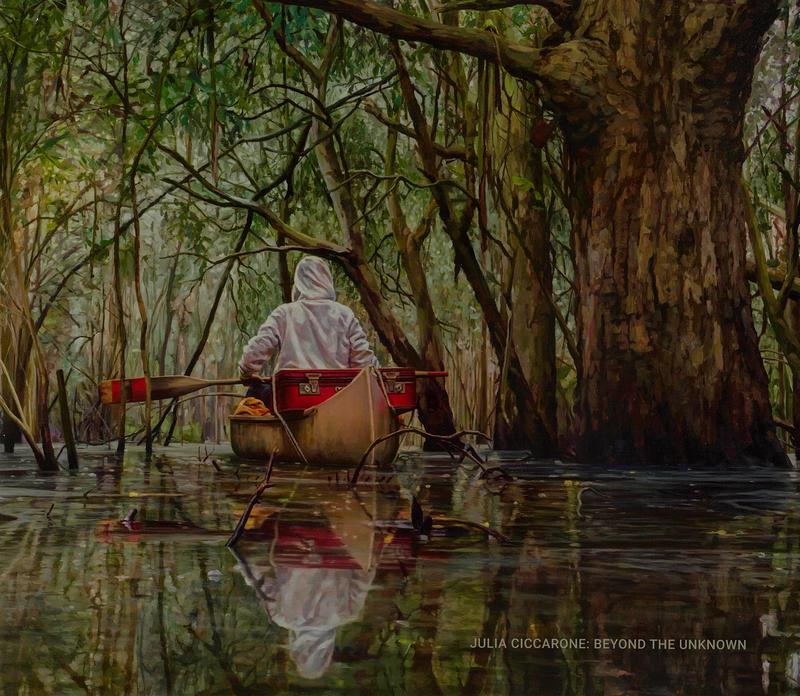 Julia Ciccarone : beyond the unknown / Niagara Galleries cover