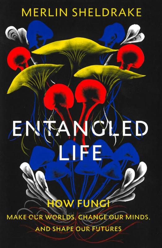 Entangled life : how fungi make our worlds, change our minds and shape our futures / Merlin Sheldrake cover