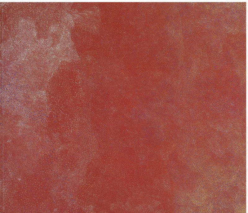 Angelina Pwerle : new paintings and Utopia sculptures 1993-2005 / Niagara Galleries cover