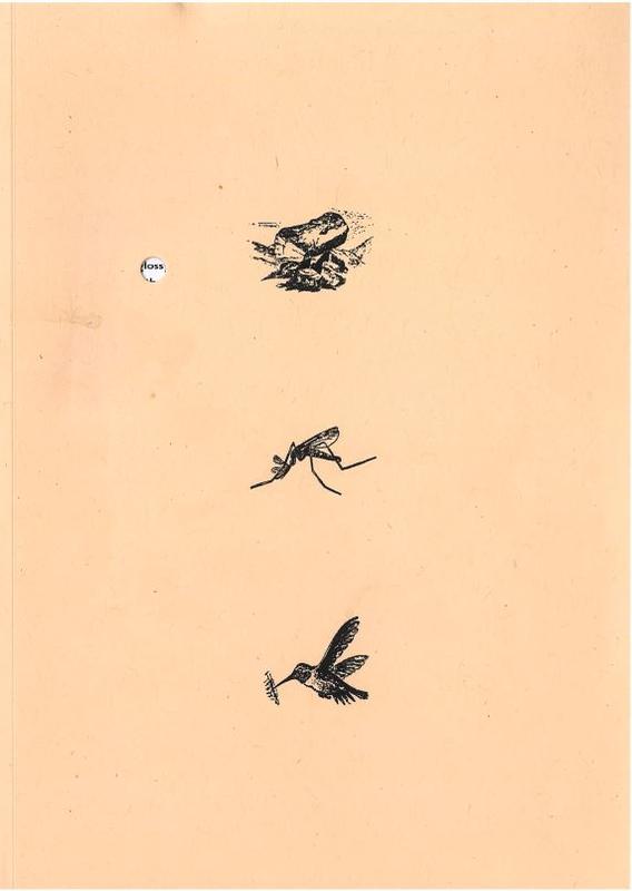 Rock, mosquito and hummingbird : a prehistory of Governors Island / David Brooks cover