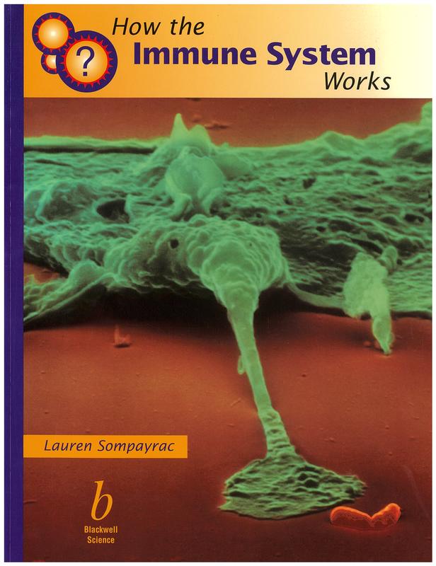 How the immune system works / Lauren Sompayrac cover