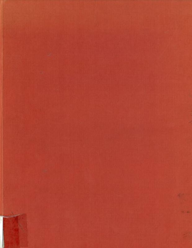 Afro-American art and craft / Judith Wragge Chase cover