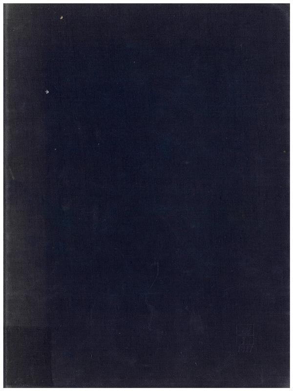 The pluralist era : American art 1968-1981 / Corinne Robins cover