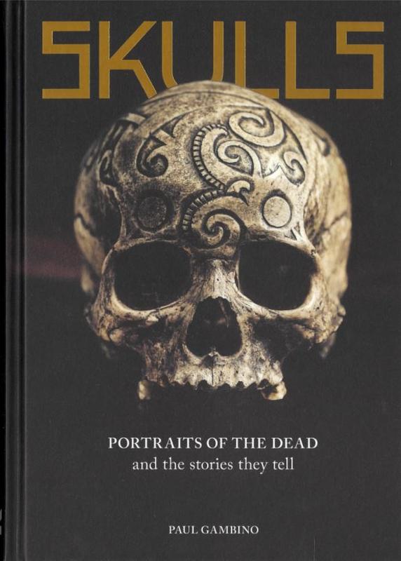 Skulls : portraits of the dead and the stories they tell / Paul Gambino cover