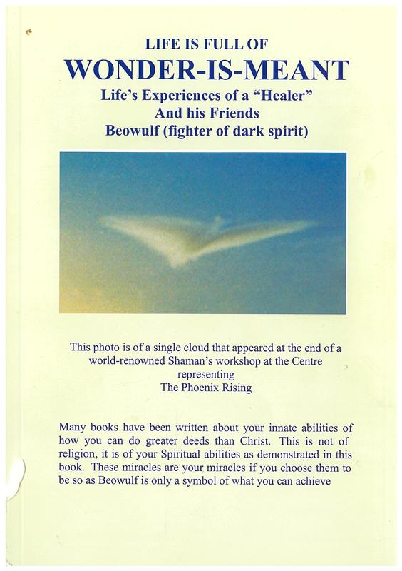 Wonder-is-meant : life's experiences of a "healer" and his friends / Beowulf cover