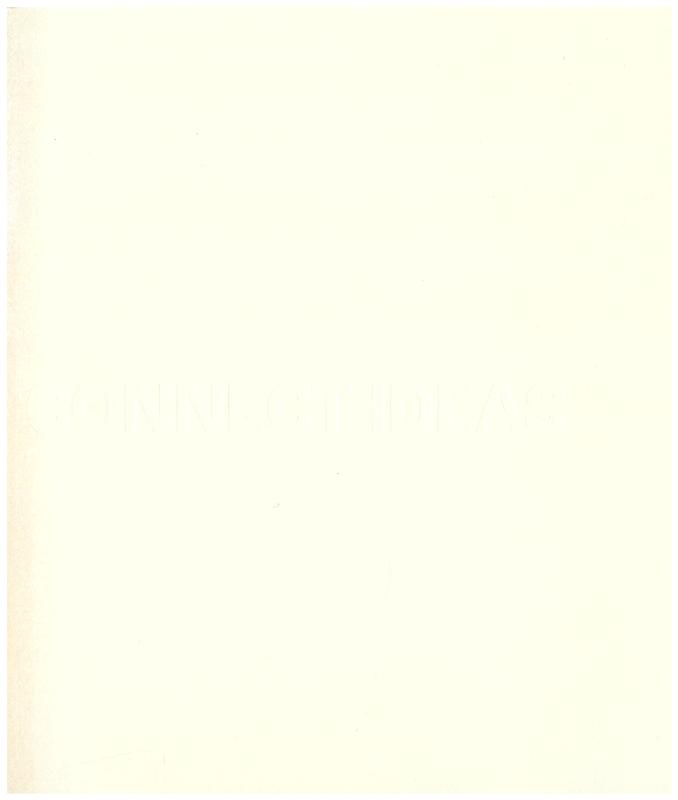 Connect ideas - maximize impact / Transsolar KlimaEngineering cover