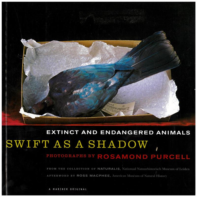 Swift as a swallow : extinct and endangered birds / photographs by Rosamond Purcell ; text by Lars van den Hoek Ostende [and 4 others] ; afterword by Ross D. E. MacPhee cover