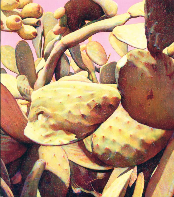 Tim Maguire : new paintings and digital pigment prints cover