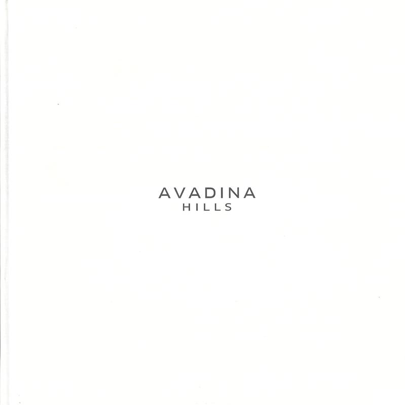 Avadina Hills cover