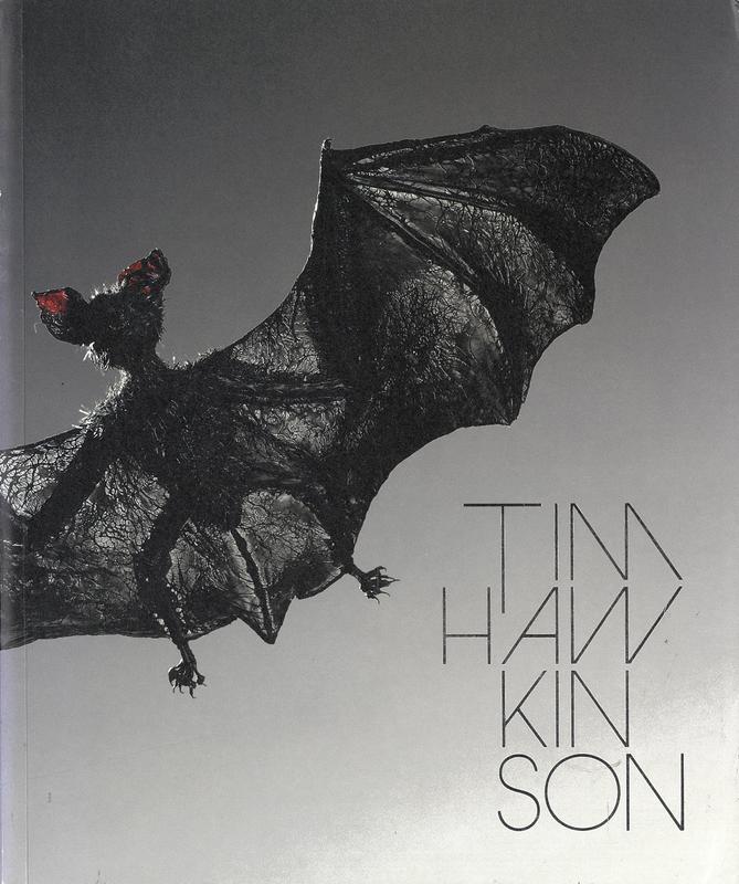 Tim Hawkinson : mapping the marvellous / curator, Rachel Kent cover