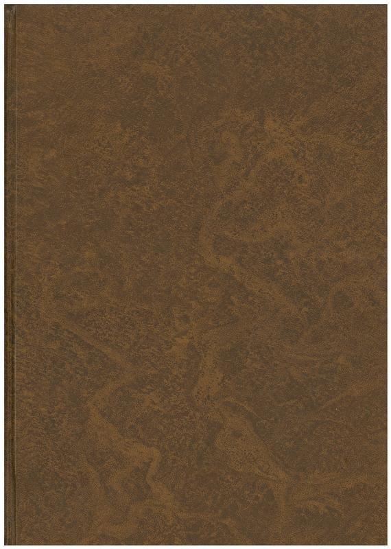 The coinage of the Eastern Seleucid mints : from Seleucus I to Antiochus III cover