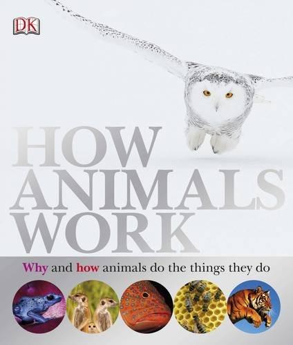 How animals work / David Burnie cover