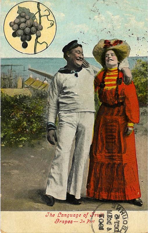 The language of fruit grapes - in port cover