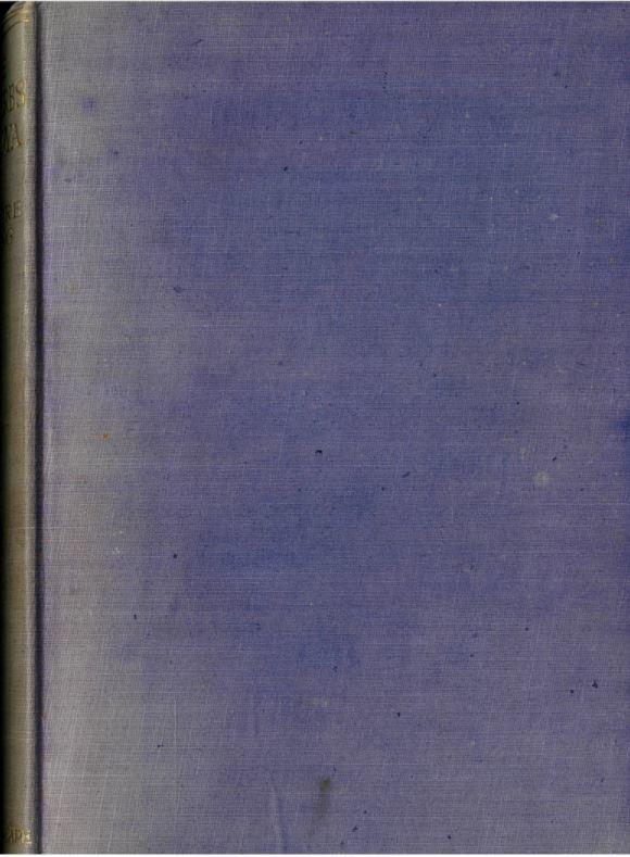 The proverbs of Goya : being an account of "Los Proverbios," examined and now for the first time explained / by Blamire Young cover