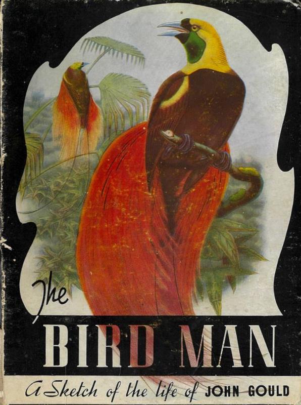 The bird man : a sketch of the life of John Gould / by Charles Barrett cover
