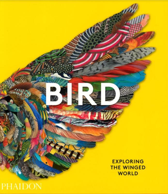 Bird : exploring the winged world / commissioning editor, Victoria Clarke cover