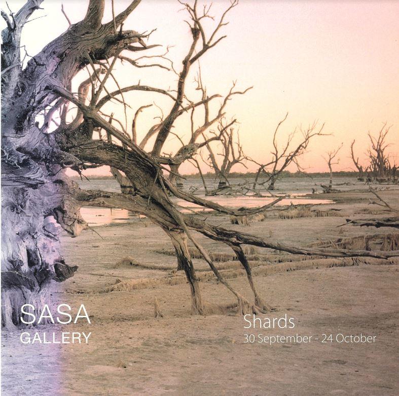 Shards / artists, Nici Cumpston, Yhonnie Scarce, Judy Watson ; curator, Mary Knights cover