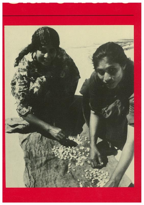 The shell money of the slave trade cover