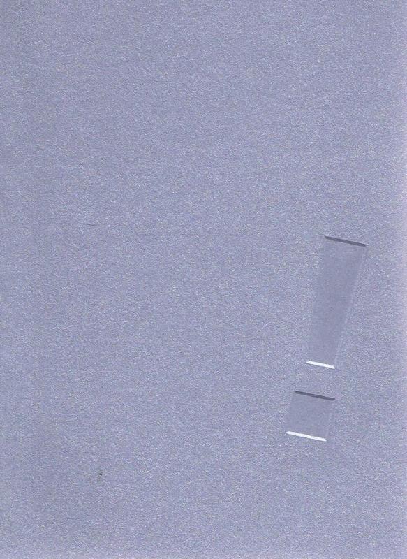 Showing off : 1999 honours graduates cover