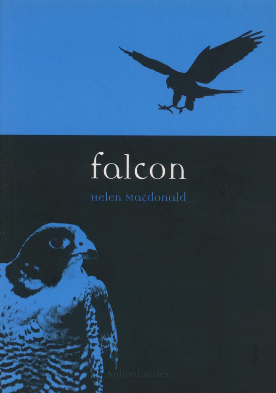 Falcon / Helen MacDonald cover