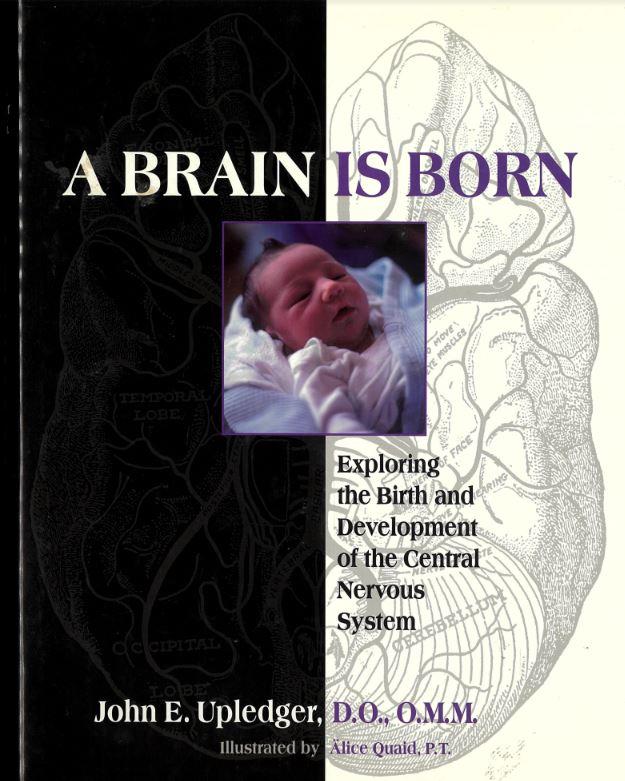 A brain is born : exploring the birth and development of the central nervous system / John E. Upledger cover