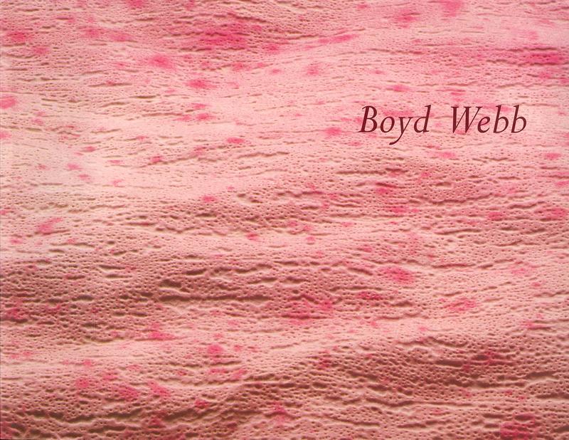 Boyd Webb : VIII Indian Triennale cover