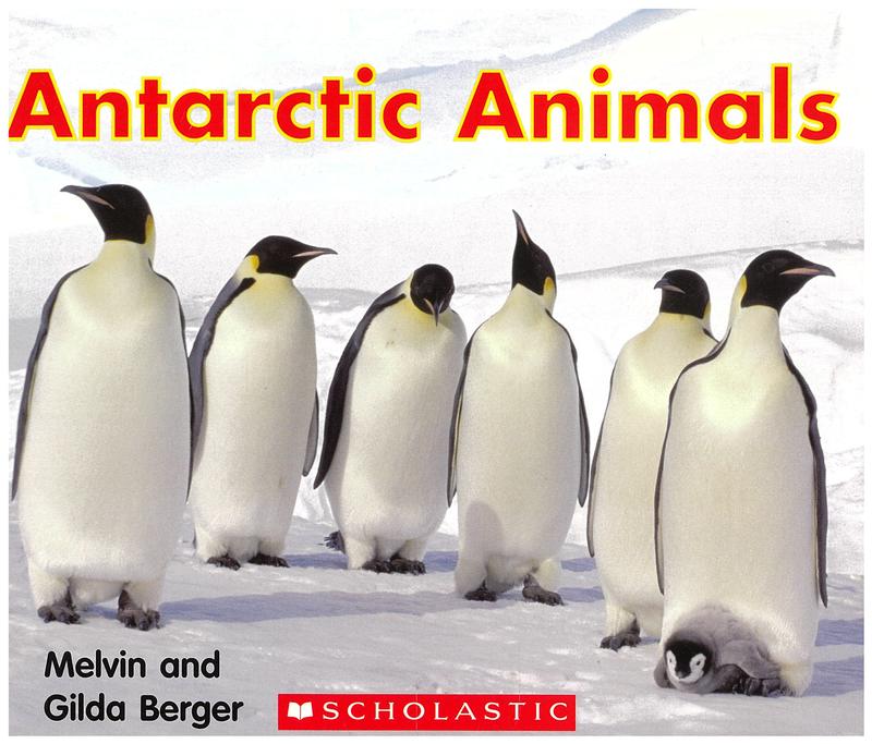 Antarctic animals / Melvin and Gilda Berger cover