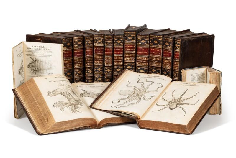 Curae analyticae Aliquot Naturalium Observationum Aldrovandicas circa historias cover