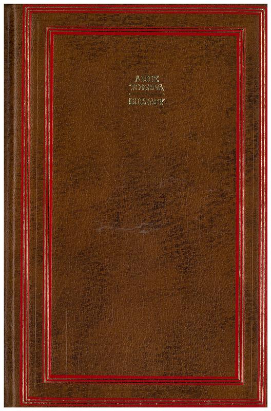 A ride to Khiva : travels and adventures in Central Asia / by Fred Burnaby cover