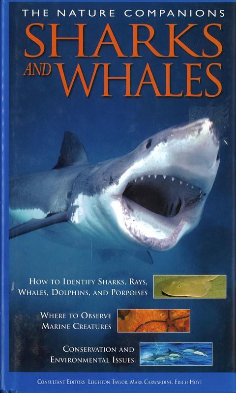 Sharks and whales / sharks: Timothy C. Tricas [and 5 others] ; whales: Mark Carwardine [and 3 others] cover