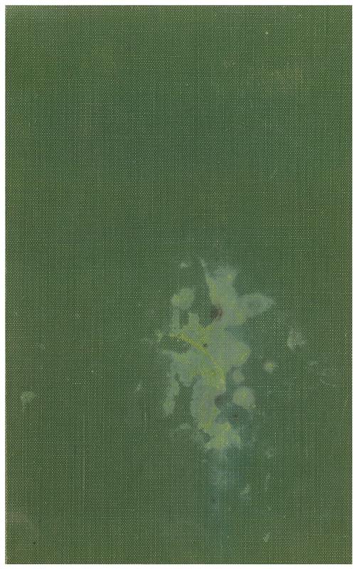 The peaks of Lyell / by Geoffrey Blainey cover