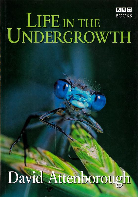 Life in the undergrowth / David Attenborough cover