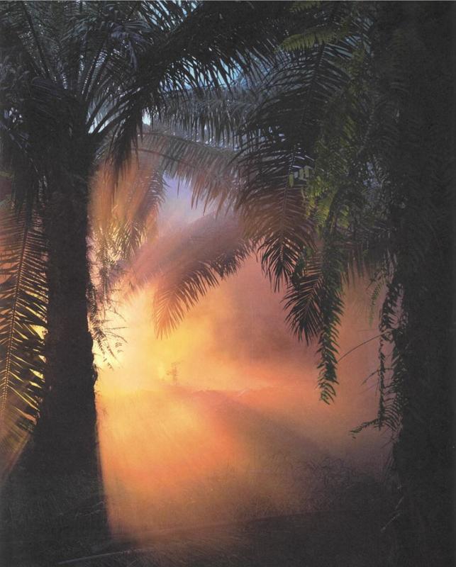 An invitation to disappear cover