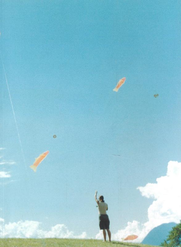 Mondes flottants : 14e biennale de Lyon / Thierry Raspail cover