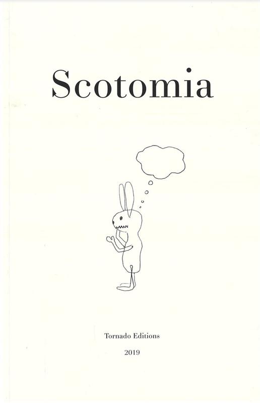 Scotomia : nine letters / Hans Theys ; compiled by Carla Van Campenhout ; introduced by Victoria Parvanova ; illustrated by Max Pinckers cover