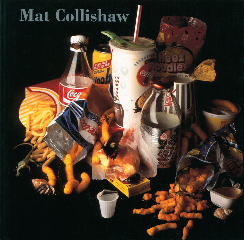 Mat Collishaw cover