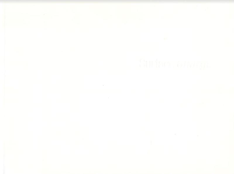 Surface change / curated by Sabine Russ and Gregory Volk cover