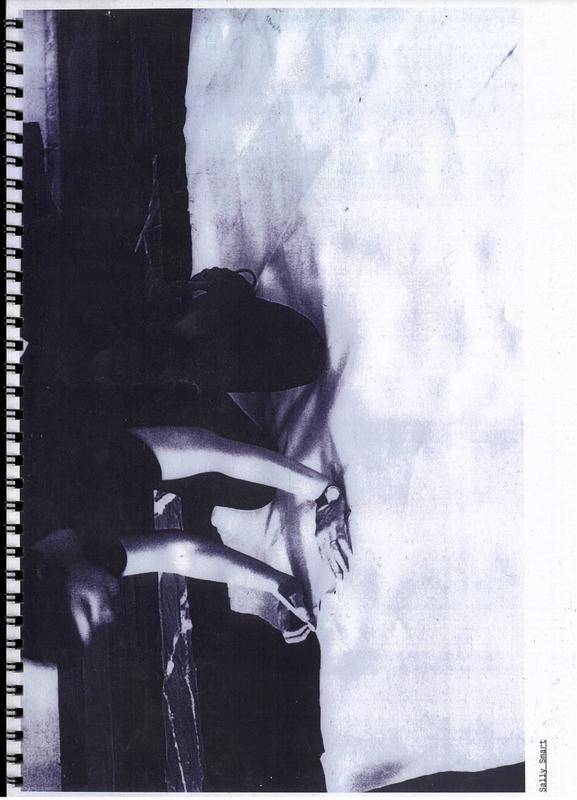 Sally Smart [installation images] cover