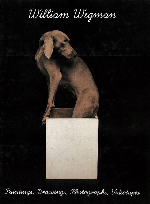 William Wegman : paintings, drawings, photographs, videotapes cover