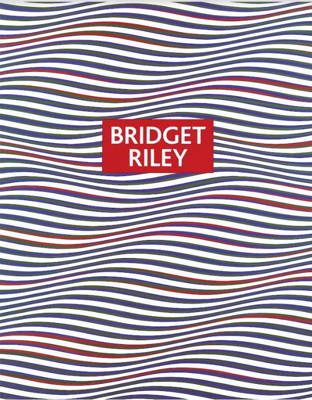 Bridget Riley : paintings and drawings 1961-2004 cover