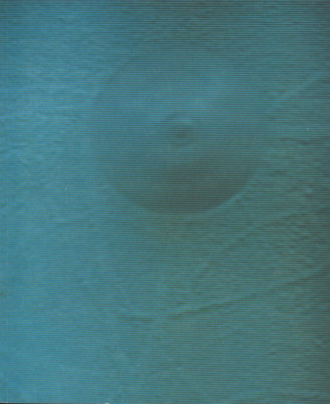 Lucia Nogueira / introduction by Elizabeth A. Macgregor cover