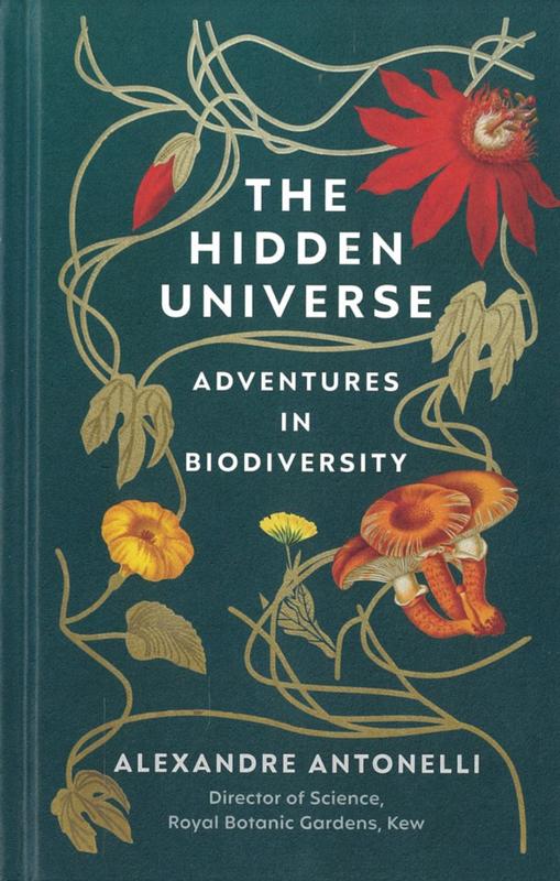 Art in Australia : from colonization to postmodernism / Christopher Allen cover