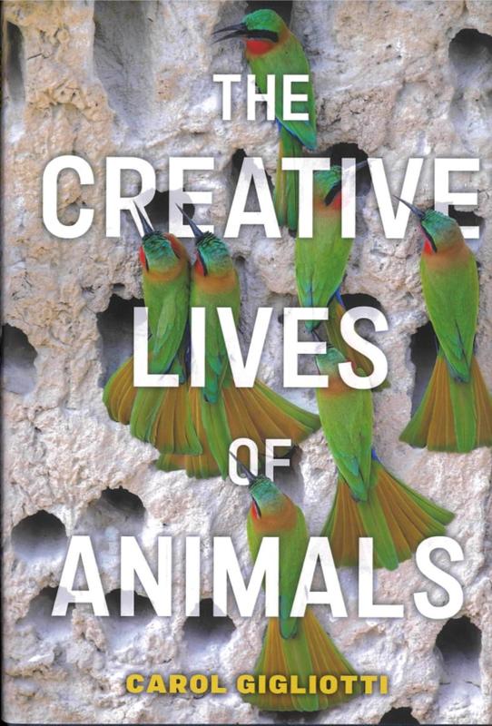 The creative lives of animals / Carol Gigliotti cover