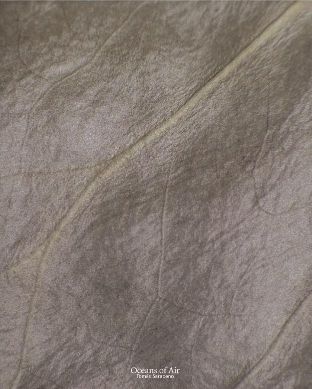 Tomás Saraceno : oceans of air / contributors, Emma Pike, Zoe Rimmer, Eva Diaz, Andry Sculthorpe, Greg Jordan cover