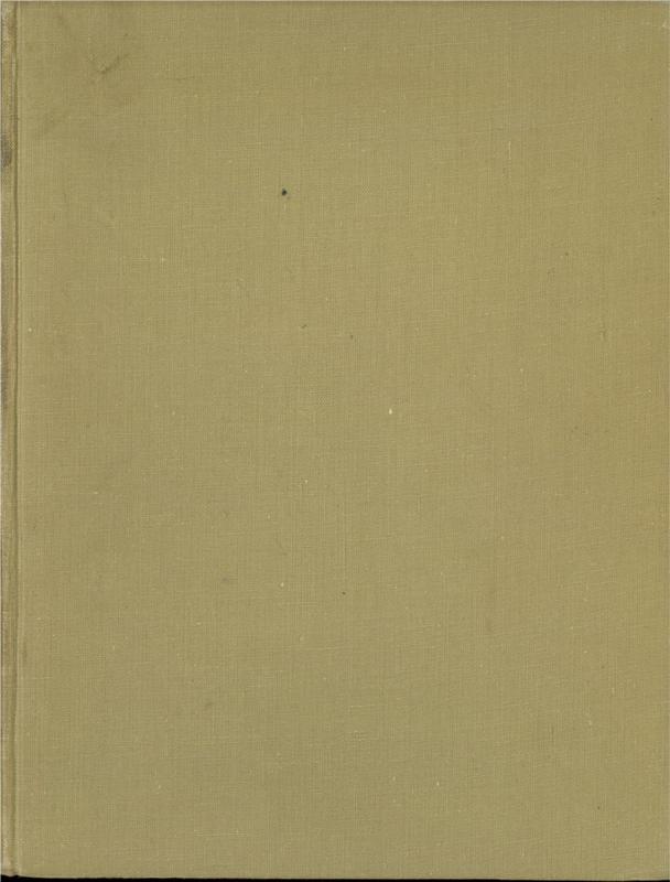 Stones of a century / by Michael Sharland ; illustrations by the author cover