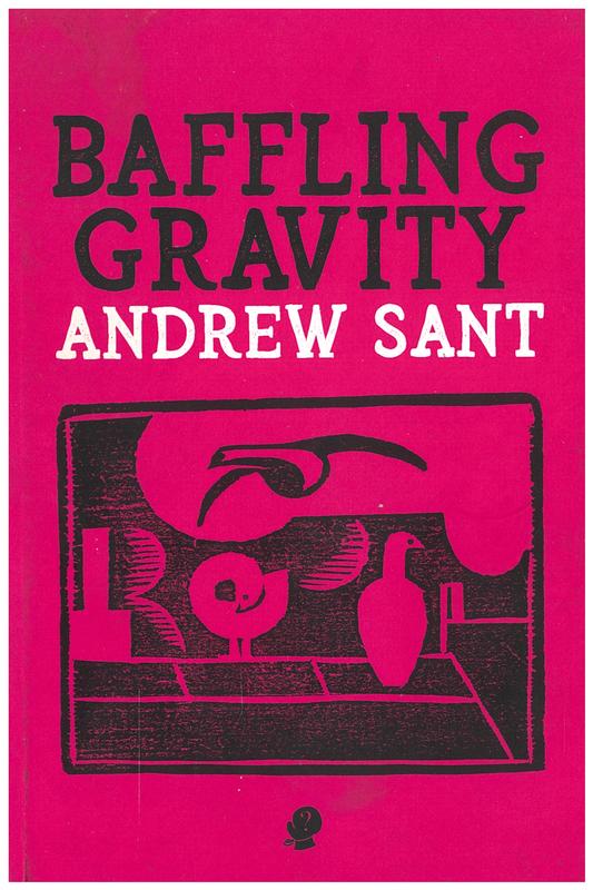 Baffling gravity / Andrew Sant cover